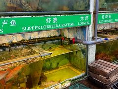 -無招牌海鮮(芽笼店)