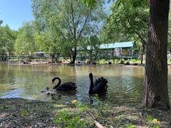 -长白岛森林公园