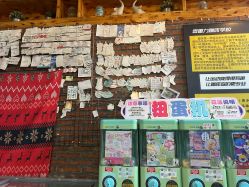 -零重力蹦床空间·滑梯·海洋球·团建(奥特莱斯店)