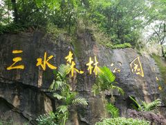 -三水森林公园