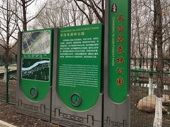 -长白岛森林公园