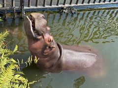 -海南热带野生动植物园