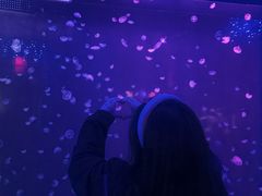 -太平洋海底世界