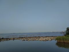 -上海吴淞炮台湾国家湿地公园