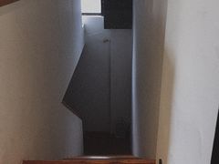 -猫里有甜