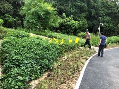 -广西壮族自治区药用植物园