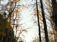 -百里山水画廊