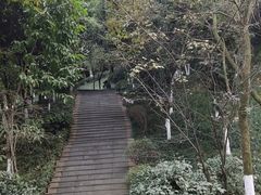 -龙头寺公园