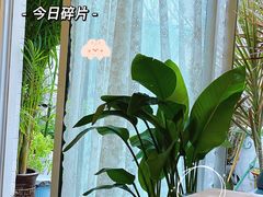 -秀儿家の小确幸花园西餐厅
