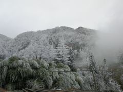 -鹿院坪生态旅游景区