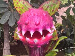 -沈阳植物园