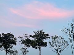 -山港凯悦酒店·BEBA海滩烧烤餐厅酒吧