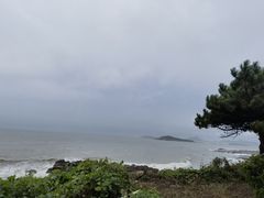 -船歌·鱼水饺青岛菜(合肥路永旺店)