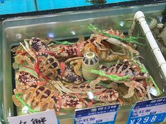 -强记海鲜·大排档(蛇口新街店)
