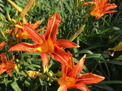 -上海市保健医疗中心