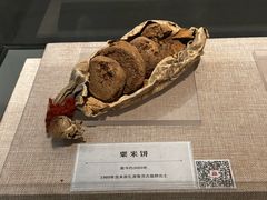 -巴音郭楞蒙古自治州博物馆