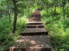 -北京十三陵国家森林公园蟒山景区