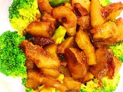 翡翠鲍汁扒海参-江南村酒家