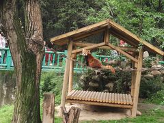 -西安秦岭野生动物园