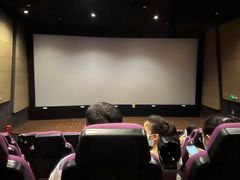 -金逸影城(光美宝龙巨幕店)