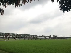 -迪茵湖田家舍生态农场
