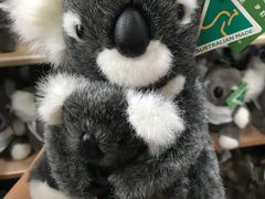 -费瑟代尔野生动物园