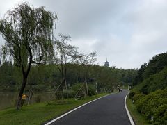 -宜兴龙背山森林公园