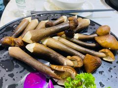 -顺德公猪肚鸡·椰子鸡(惠东天虹店)