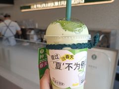 -茉酸奶(春熙路店)