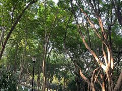 -龙头寺公园