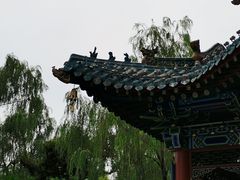 -迎泽公园