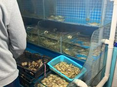 水产区-云南巷海鲜大咖·可加工海鲜