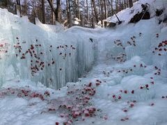 -洛阳白云山景区