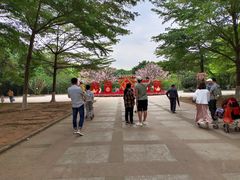 -广东茂名森林公园