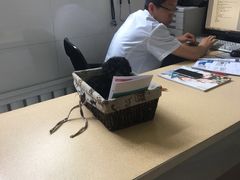 -瑞派宠物医院·内科·软组织·绝育中心(沈阳八纬路分院)