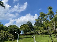 -白石龙音乐公园