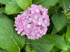 -东华大学(松江校区)