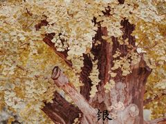 -枫桥夜泊