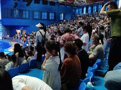 -多彩贵州城极地海洋世界