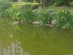 -新湖明珠城