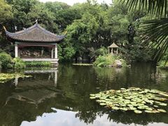 -叶家花园