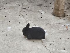 -厦门园林博览苑