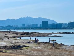 -唐岛湾公园