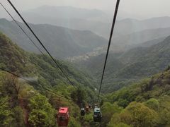 -王顺山国家森林公园