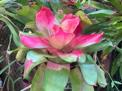 -北京植物园-展览温室