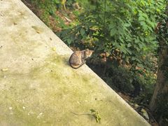-宝通禅寺