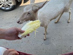 -南京金牛湖风景区