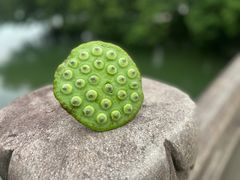 -茅家埠
