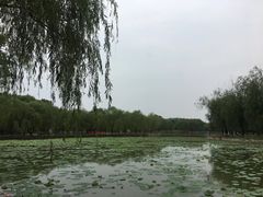 -廊坊市自然公园