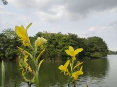 -海珠湖公园